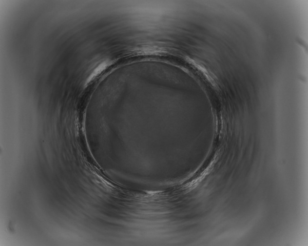 X0000097631306200802291330