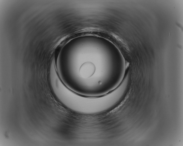 X0000097631313200802291330