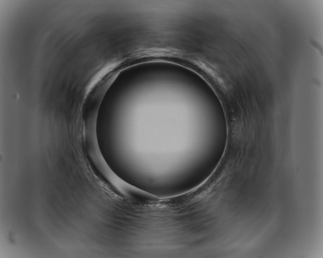 X0000097631317200802291330