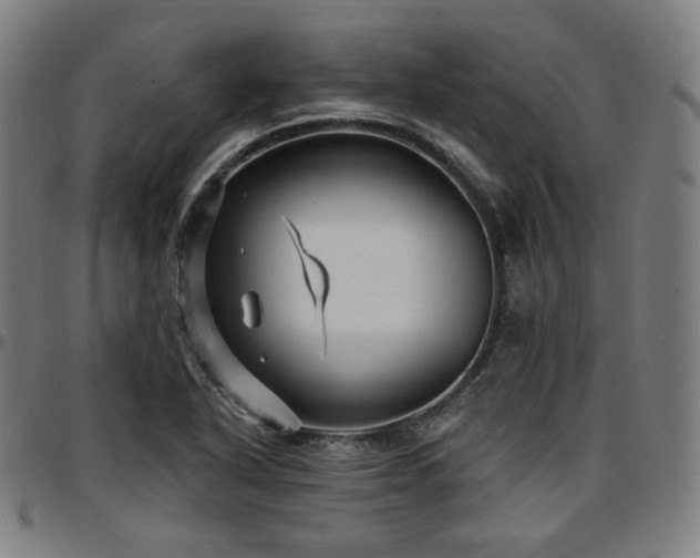 X0000097631318200802291331