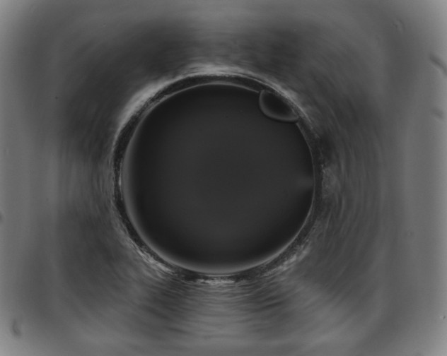 X0000097631319200802291331