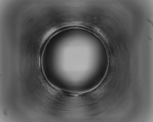 X0000097631320200802291331