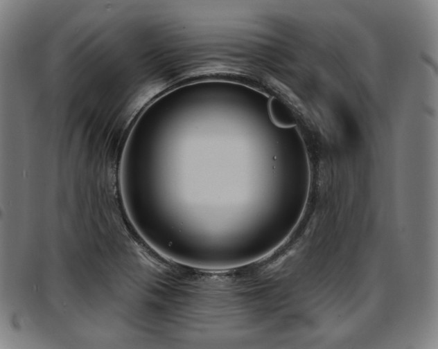 X0000097631321200802291331