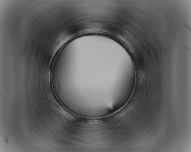 X0000097631322200802291331