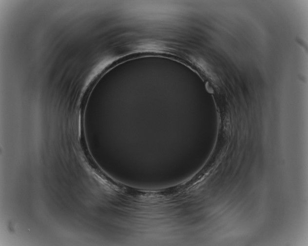 X0000097631323200802291331