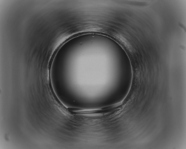 X0000097631324200802291331