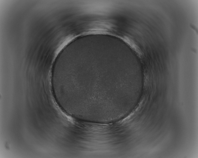 X0000097631325200802291331