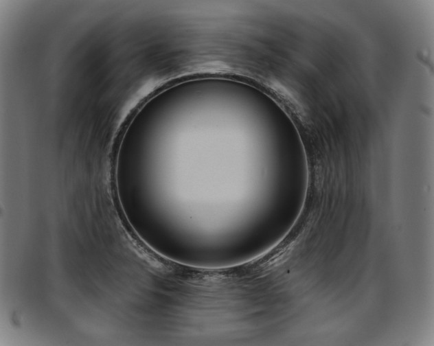 X0000097631326200802291331
