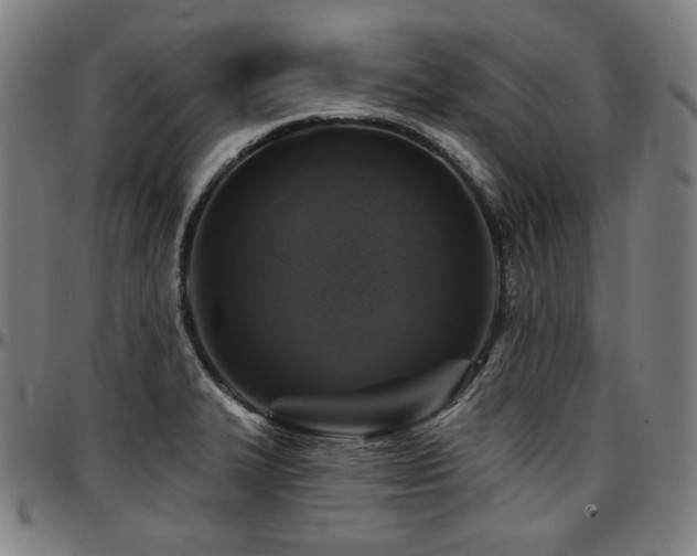 X0000097631327200802291331