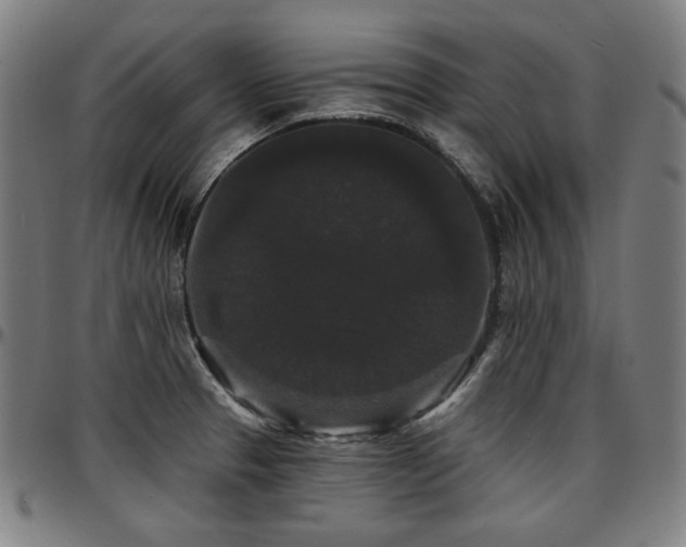 X0000097631329200802291331