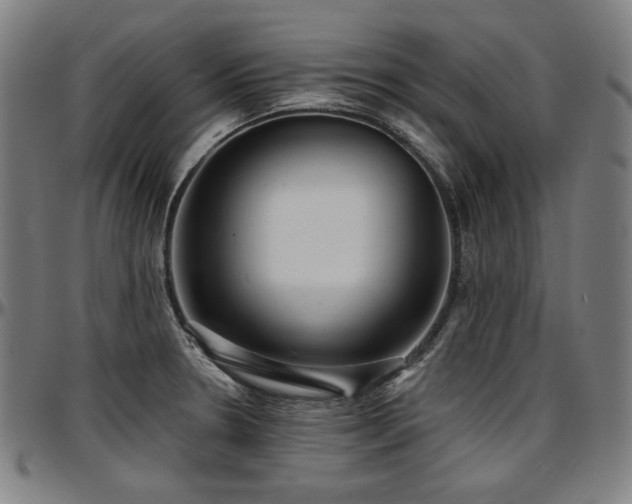 X0000097631330200802291331