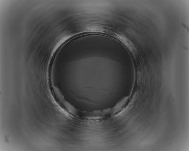 X0000097631331200802291331