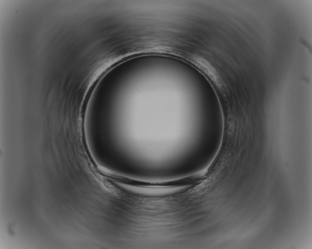 X0000097631332200802291331