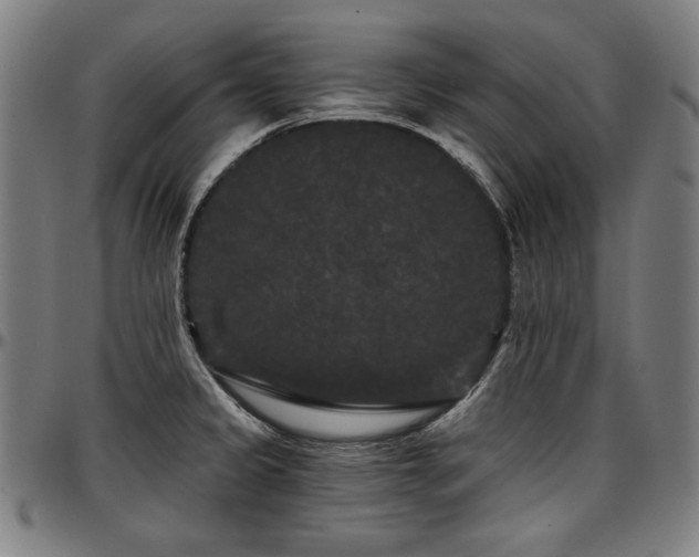 X0000097631333200802291331