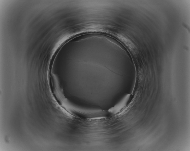 X0000097631334200802291331