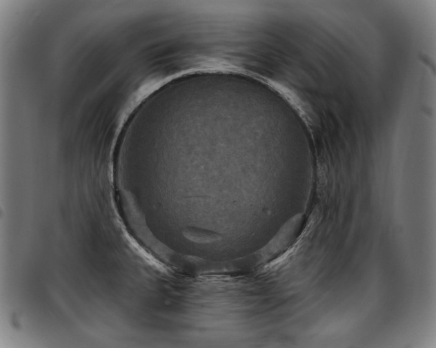 X0000097631335200802291331
