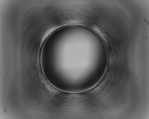 X0000097631336200802291331
