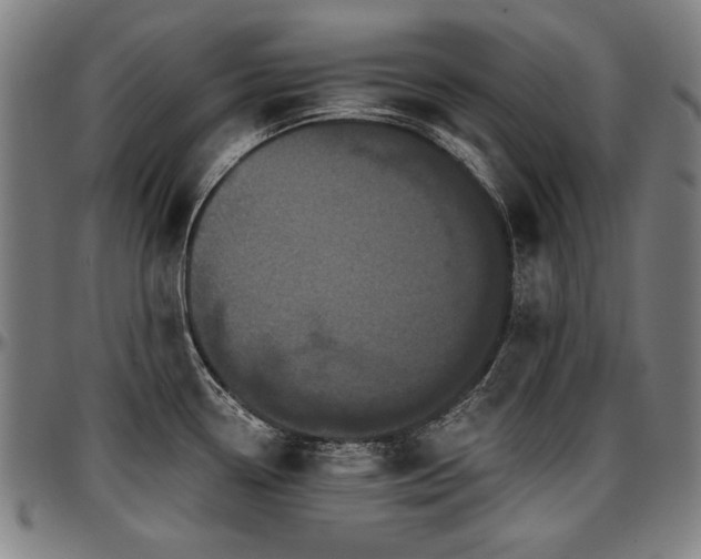 X0000097631338200802291331