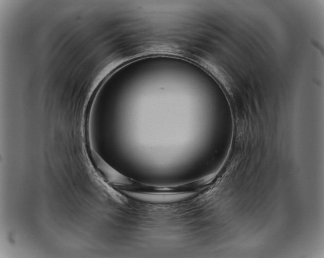 X0000097631339200802291331