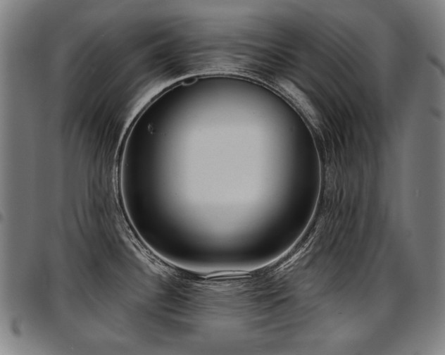 X0000097631340200802291331