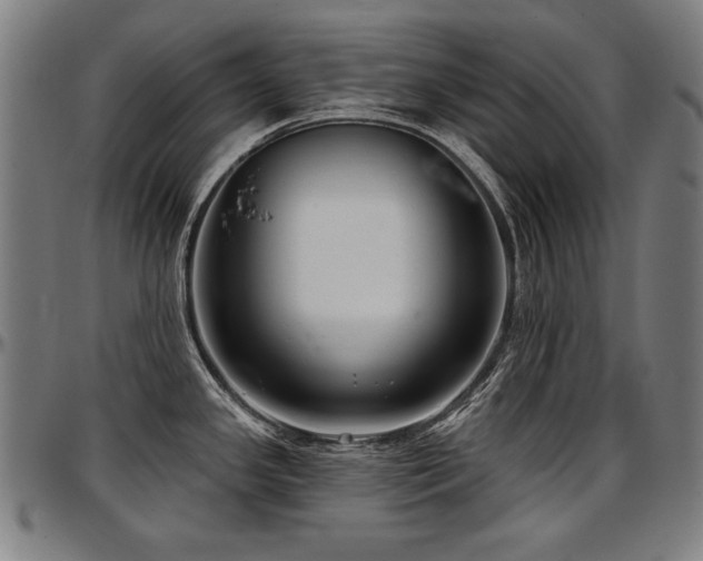 X0000097631341200802291331