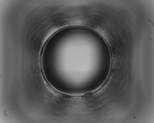X0000097631342200802291331