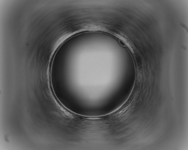 X0000097631343200802291331