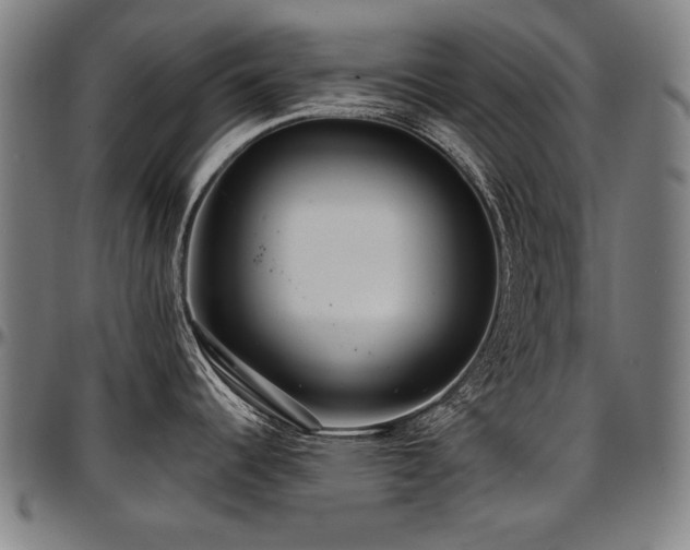 X0000097631344200802291331