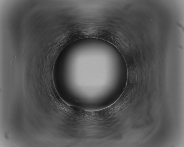 X0000097631345200802291330