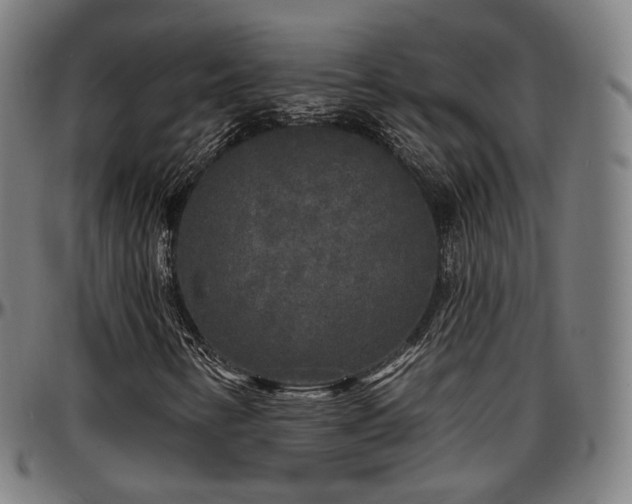 X0000097631346200802291330