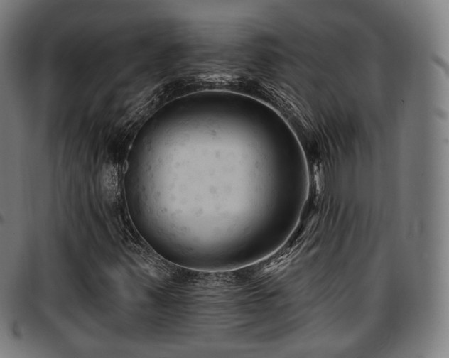 X0000097631347200802291330