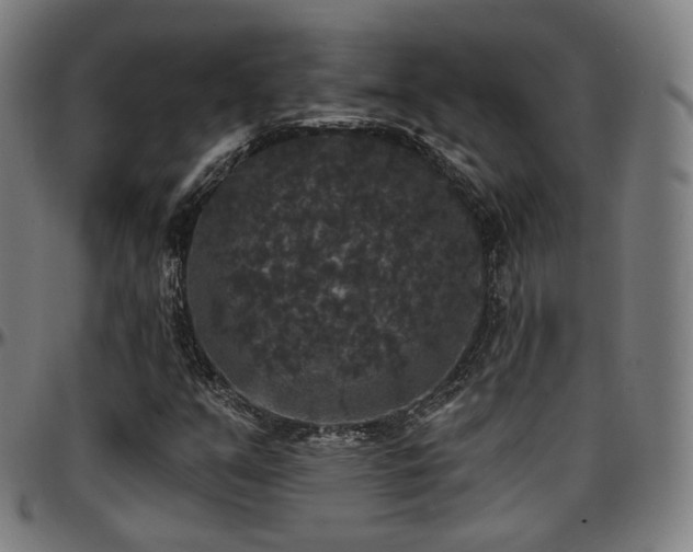 X0000097631351200802291330