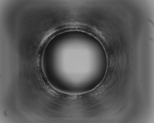 X0000097631352200802291330