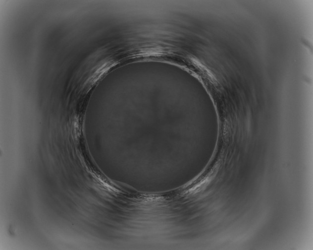 X0000097631353200802291330