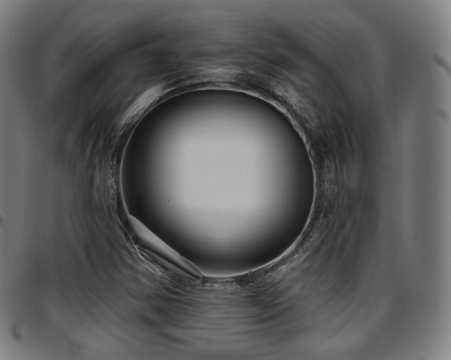 X0000097631354200802291330
