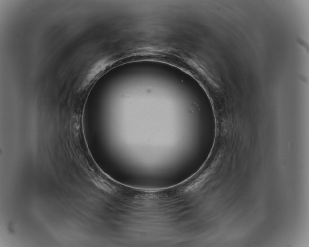 X0000097631355200802291330