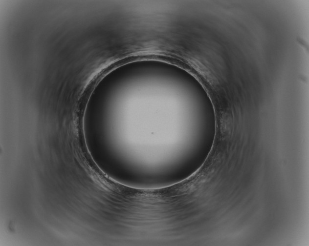 X0000097631356200802291330