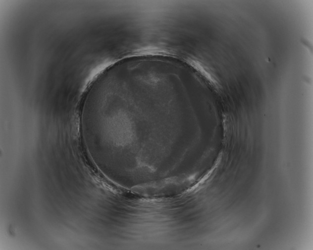 X0000097631358200802291330