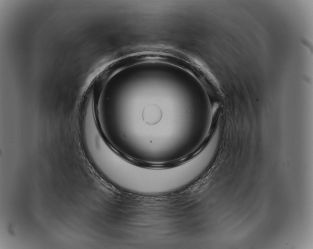 X0000097631360200802291330