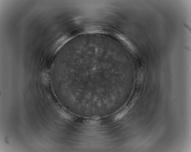 X0000097631361200802291330
