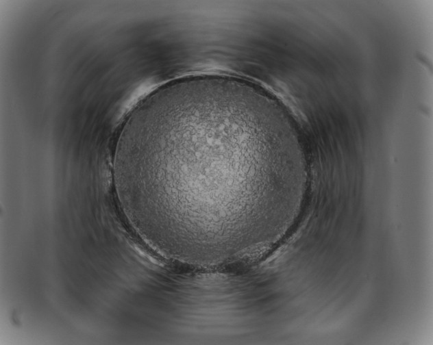 X0000097631363200802291330
