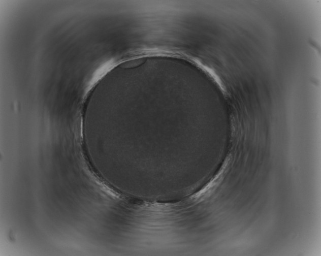 X0000097631365200802291330