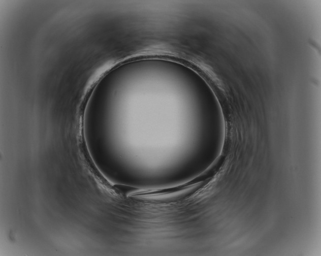 X0000097631366200802291330