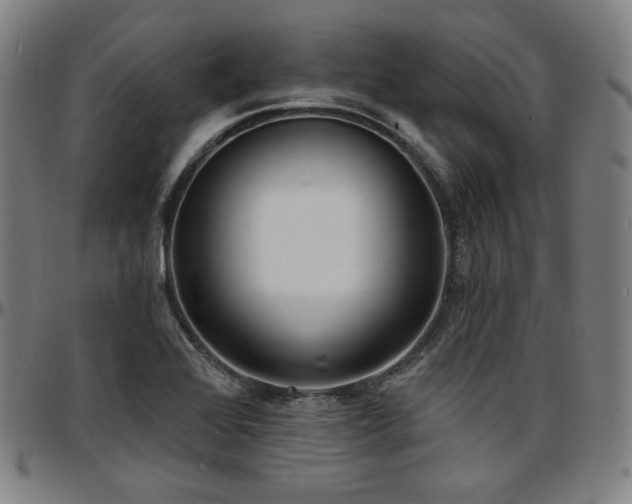 X0000097631368200802291330