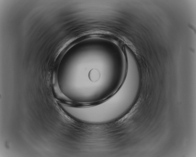 X0000097631369200802291330