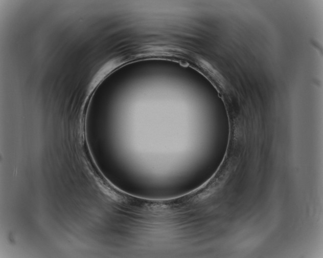 X0000097631370200802291330