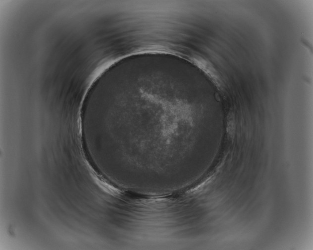 X0000097631372200802291330