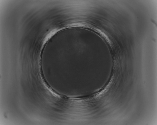 X0000097631373200802291330