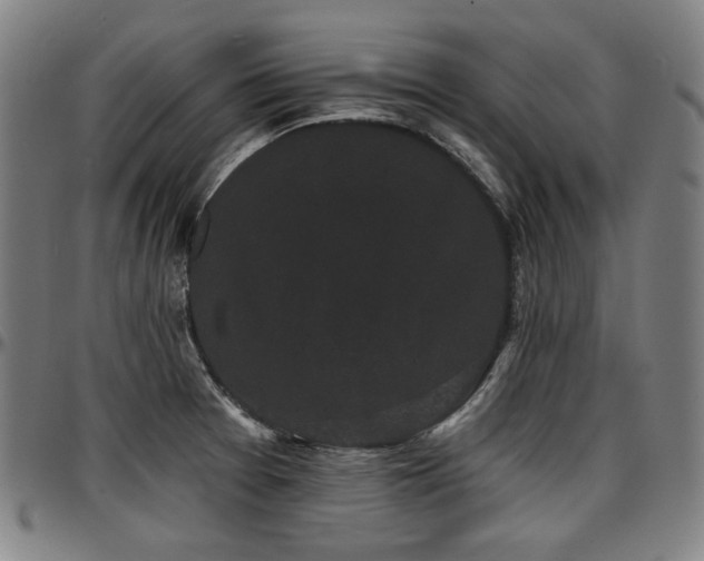 X0000097631377200802291329