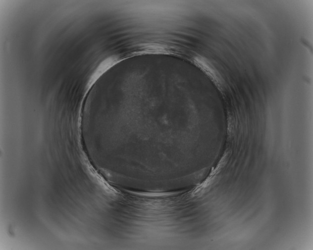 X0000097631378200802291329